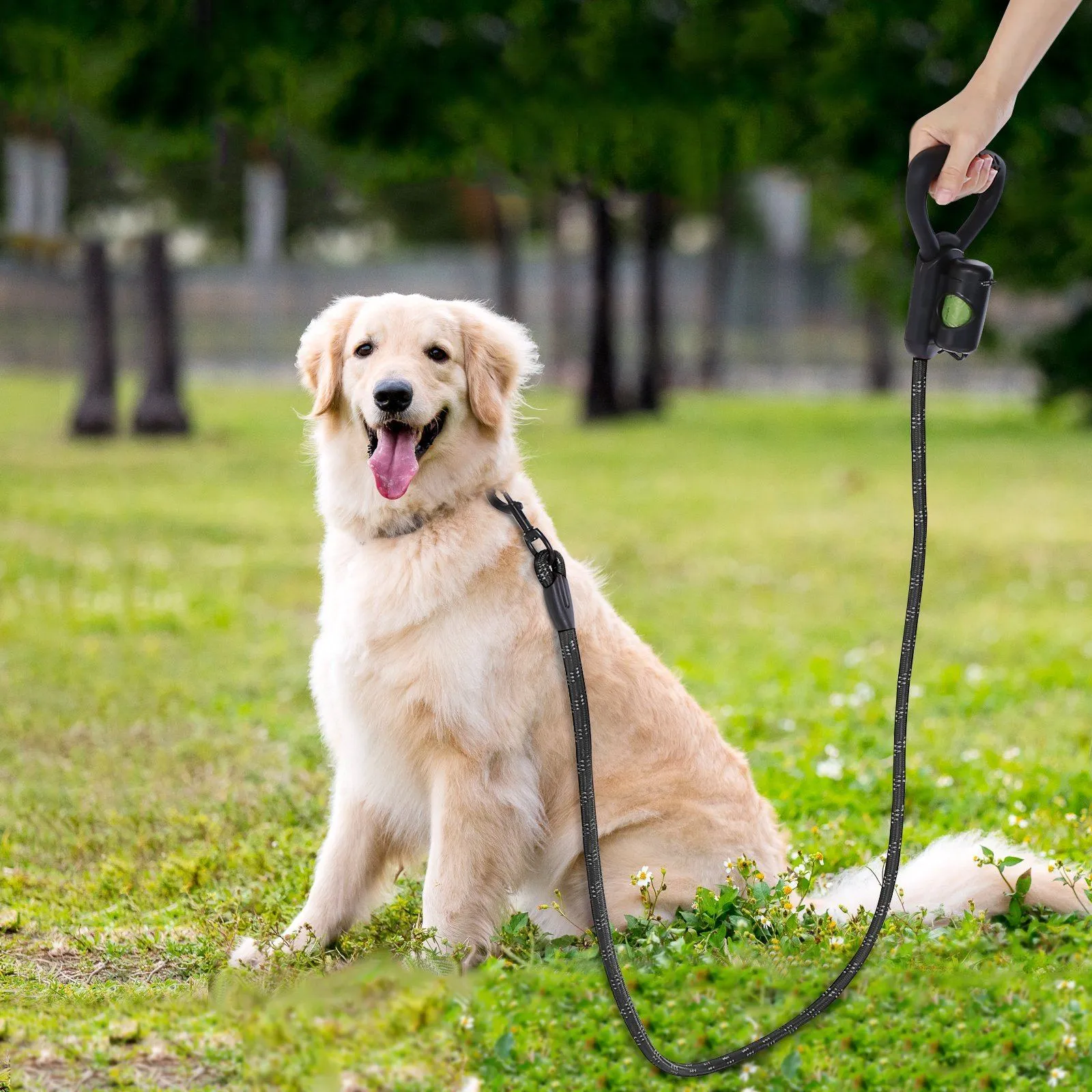 Reflective Durable 2-in-1 Dog Leash 5ft Hands-Free Waste Bag Dispenser