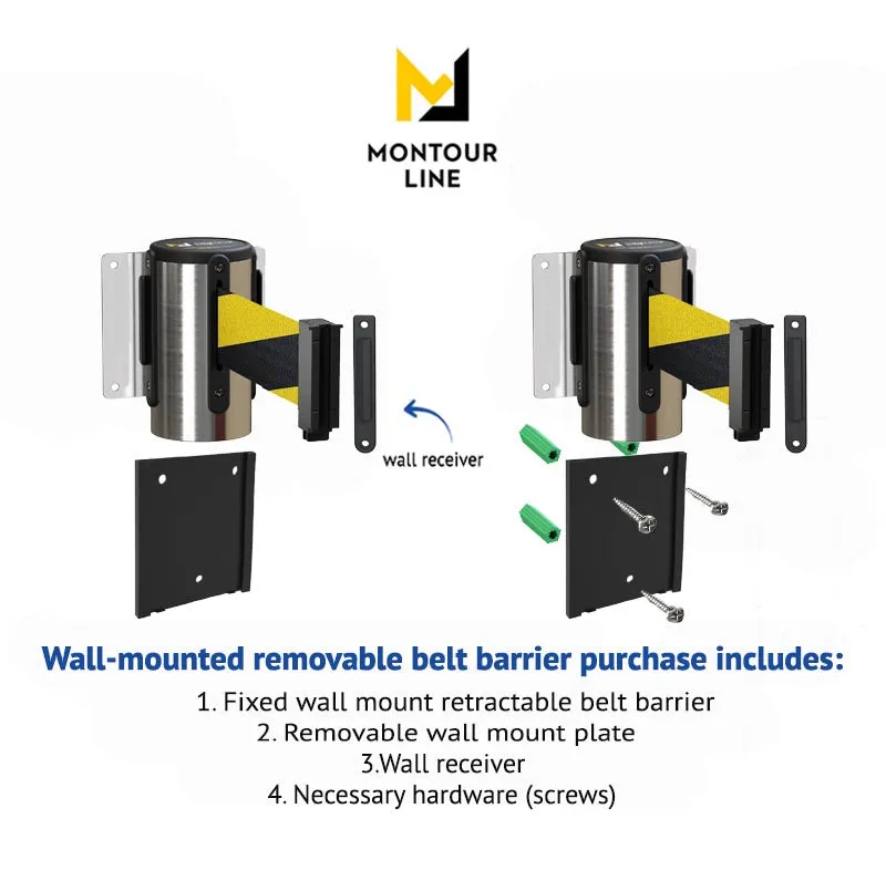 Retractable Belt Barrier Wall Mount with Removable Plate, Polished Stainless Steel Metal Case with Standard Belt End, 13 ft Belt - Montour Line WM115