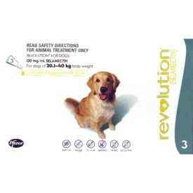 Revolution For Large Dog 20.1kg-40kg 3/Pack