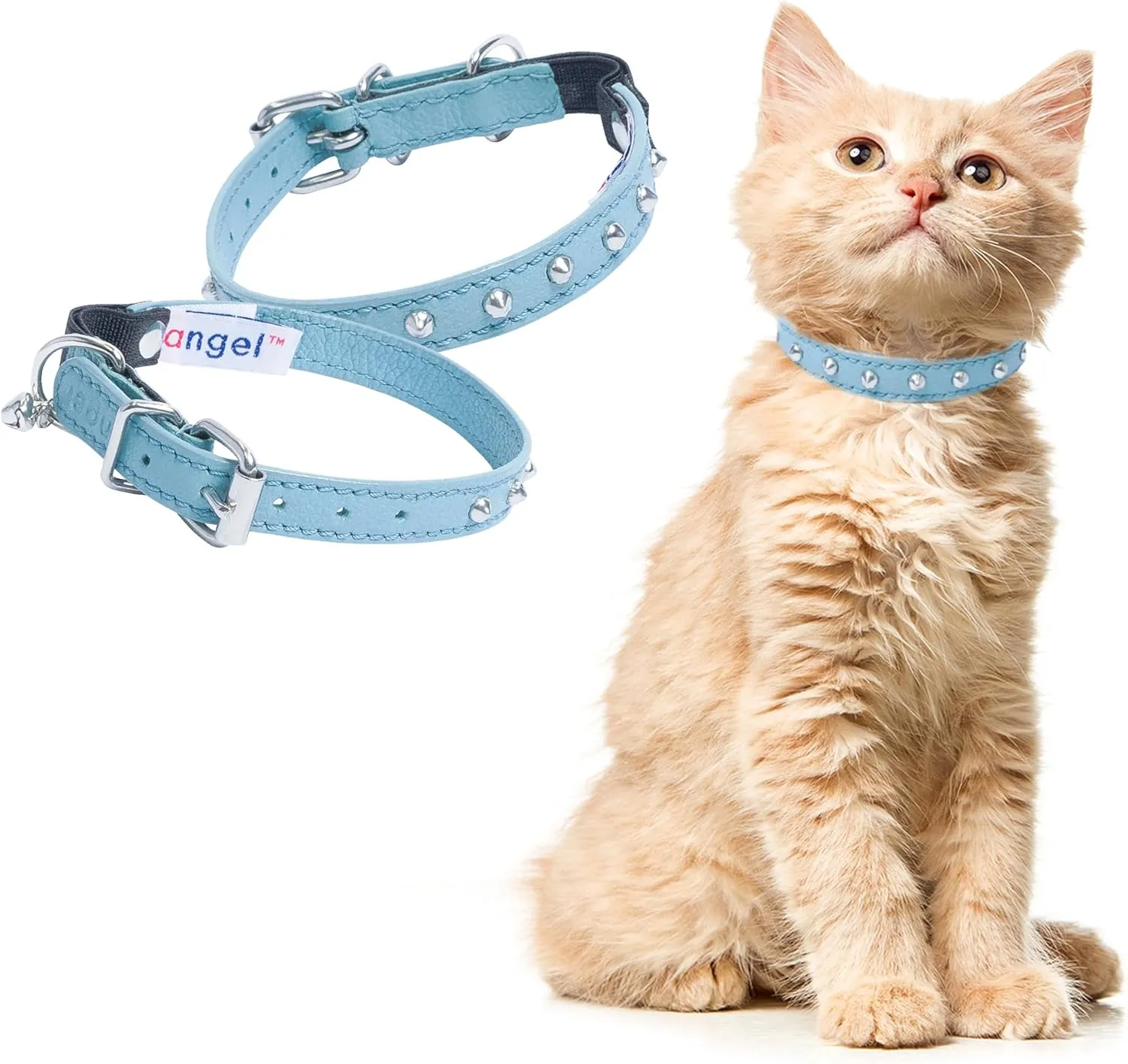 Studded Cat Collar, Genuine Leather Kitten Collar, Sturdy Breakaway Cat Collar, Water-Resistant Cat Collar with Bell & Elastic Stretch, Baby Blue, 10 x 1/2 inches - Angel Pet Supplies