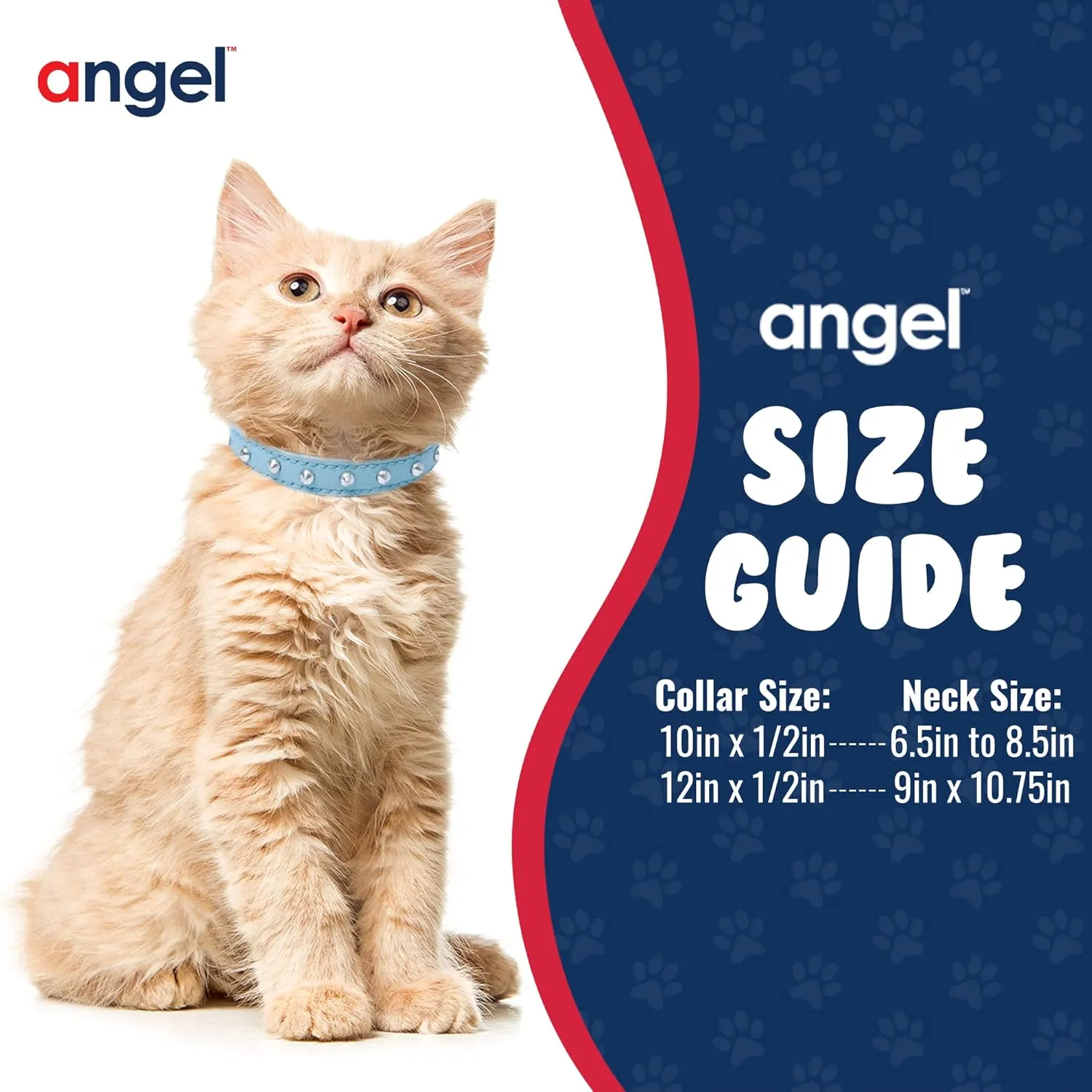 Studded Cat Collar, Genuine Leather Kitten Collar, Sturdy Breakaway Cat Collar, Water-Resistant Cat Collar with Bell & Elastic Stretch, Baby Blue, 10 x 1/2 inches - Angel Pet Supplies
