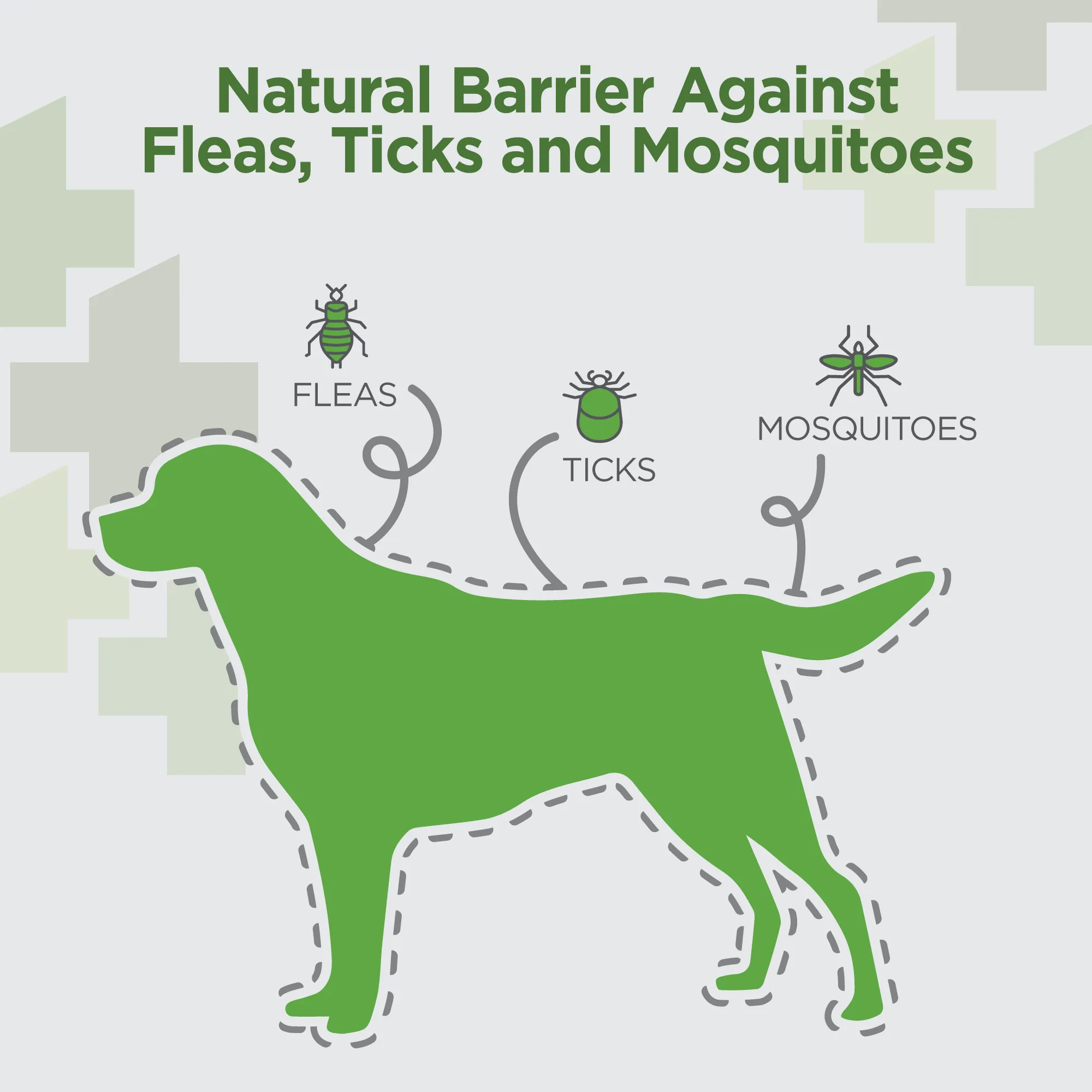 Vetality Naturals Oral Flea & Tick Chews for Dogs, 120 ct