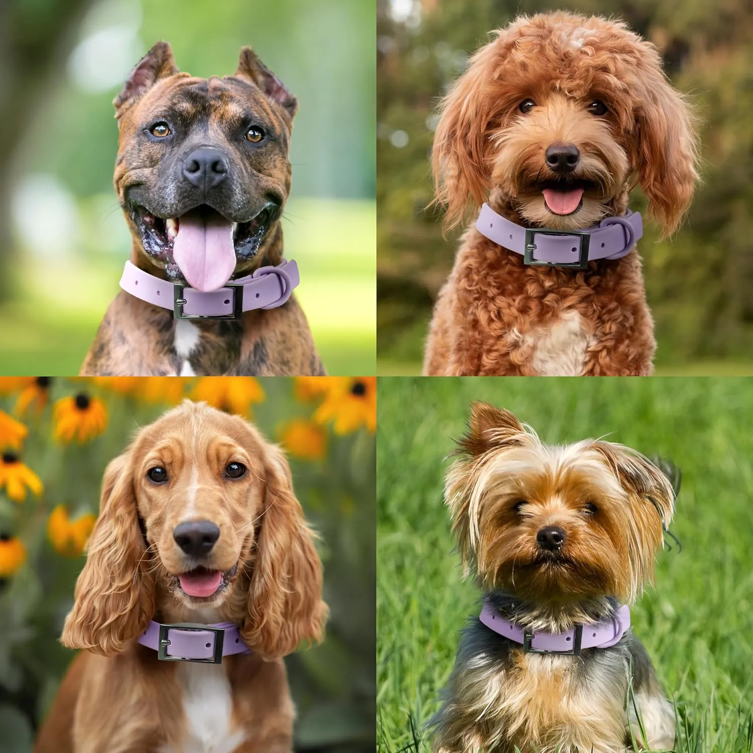 Waterproof Dog Collar and Leash Set, Adjustable, Odor Proof pet Leashes Collars, 6FT Dog Leash for Small, Medium, Large Dogs, Glow in The Dark Dog Air Tag Holder and Dog Poop Bag Holder (M, Lavender)