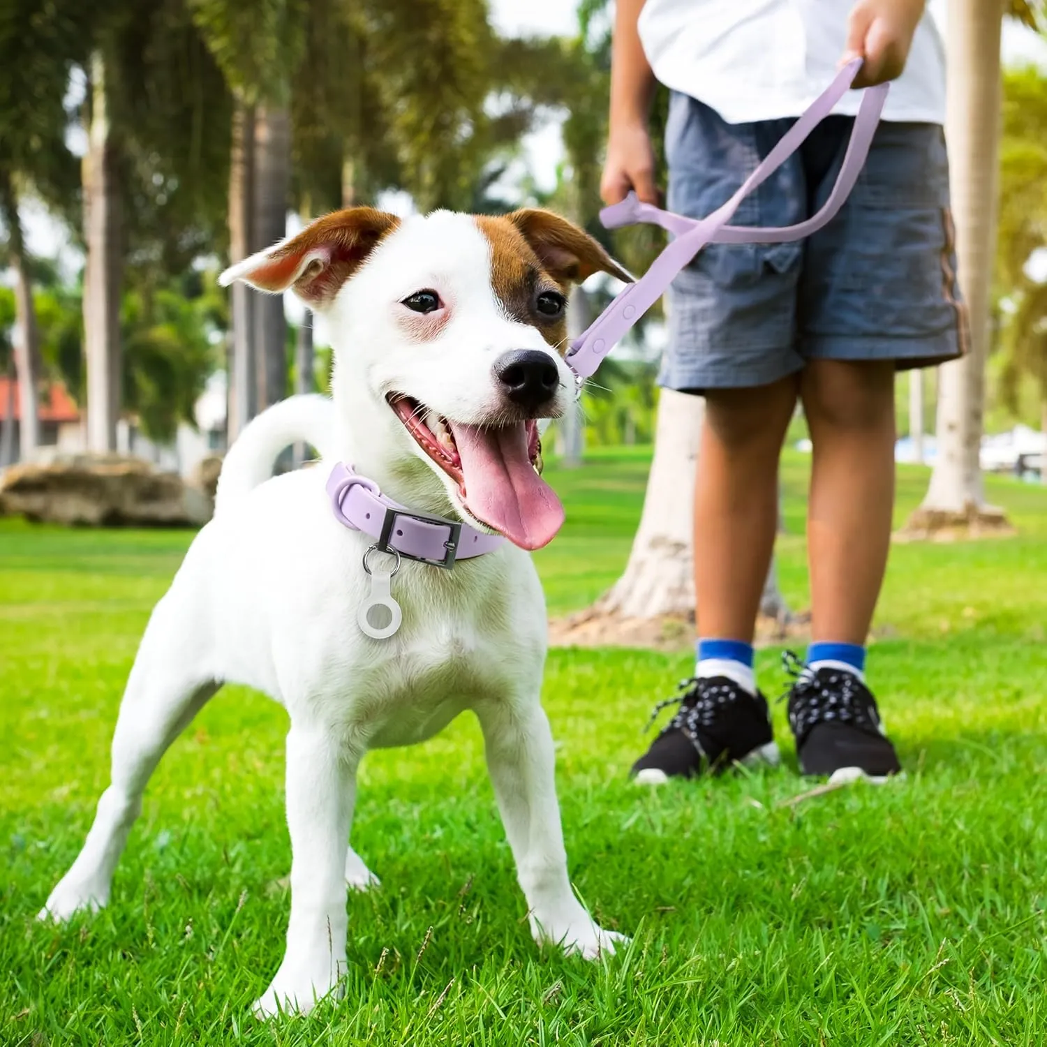 Waterproof Dog Collar and Leash Set, Adjustable, Odor Proof pet Leashes Collars, 6FT Dog Leash for Small, Medium, Large Dogs, Glow in The Dark Dog Air Tag Holder and Dog Poop Bag Holder (M, Lavender)