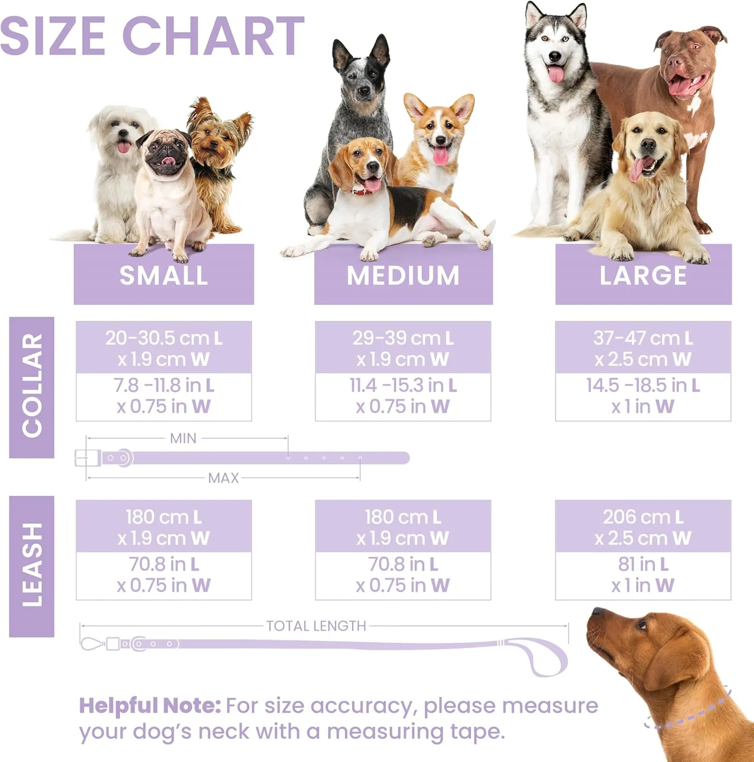 Waterproof Dog Collar and Leash Set, Adjustable, Odor Proof pet Leashes Collars, 6FT Dog Leash for Small, Medium, Large Dogs, Glow in The Dark Dog Air Tag Holder and Dog Poop Bag Holder (M, Lavender)