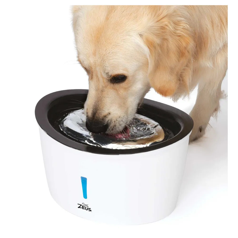 Zeus Drinking Fountain - Cascade - Stainless Steel